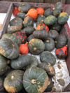 9 different squashes