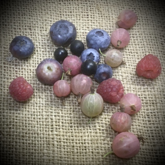 Berry time, all at the same time.