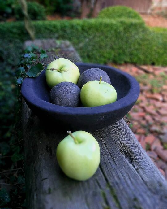 For Some Apples, Summer is the Season How do we like these apples? In July and August.   BY TOMMY WERNER July 30, 2015 It may be the middle of blueberry, melon, and—soon—tomato season, and yet you can't help it: You find yourself looking ahead to apple season, the season when you throw on a sweater, jump in the car, and watch the leaves change as you pick apples as crisp as the fall air.  This is totally normal and nothing to be ashamed of. But it's also unnecessary. You don't have to look ahead to apple season. Because apple season is actually already here.  Summer apples are an overlooked class of apples that come into season in late July and early August. They've got yellow skins and intense flavors—much more tart and savory than their autumnal counterparts.  Lodi Bought at their peak, these look like a less shiny version of Granny Smith. Created in 1924 as a cross between Yellow Transparent and Montgomery, this variety of summer apple shows up in many farmer’s markets during the last weeks in July. They’re green and tough-skinned, with a tart, almost lemony flavor. Chop them and mix them into a chicken salad.  Yellow Transparent Dating back to Russian origins in the 1800s, yellow transparents have a pale yellow skin with white and greenish dots. Depending on where you are in the country, you may start seeing these in mid-July. Look for smooth skin that’s practically transparent when it’s ripe. The fruit is roundish, conical, and mildly acidic—and it’s perfect for a tart snack, in an applesauce, or for juicing.