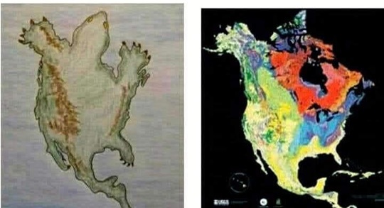 When Natives Speak of Turtle Island, this is what We mean. The map on Right is a continent, that Our Ancestors refered to as Turtle Island! Mitakuye O'yasin(All My Relatives!) ❤️🤍🖤💛  #LandBack  #TakeItAllBack 