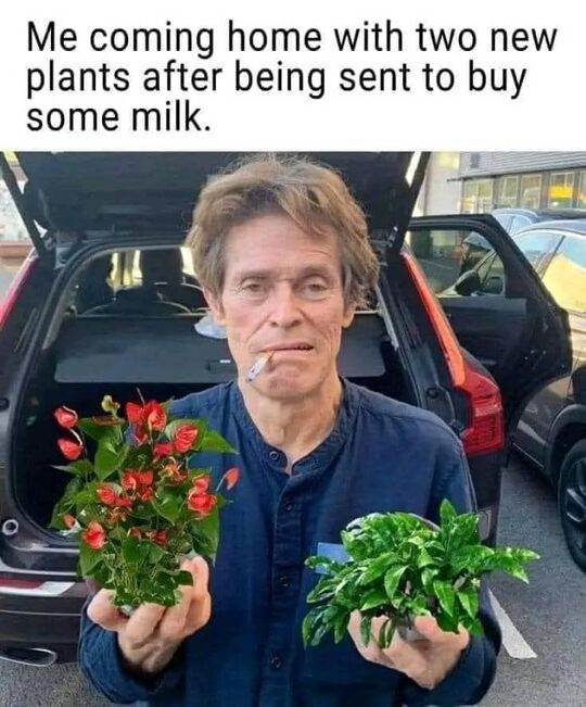 I go home without what I need if there are plants involved!