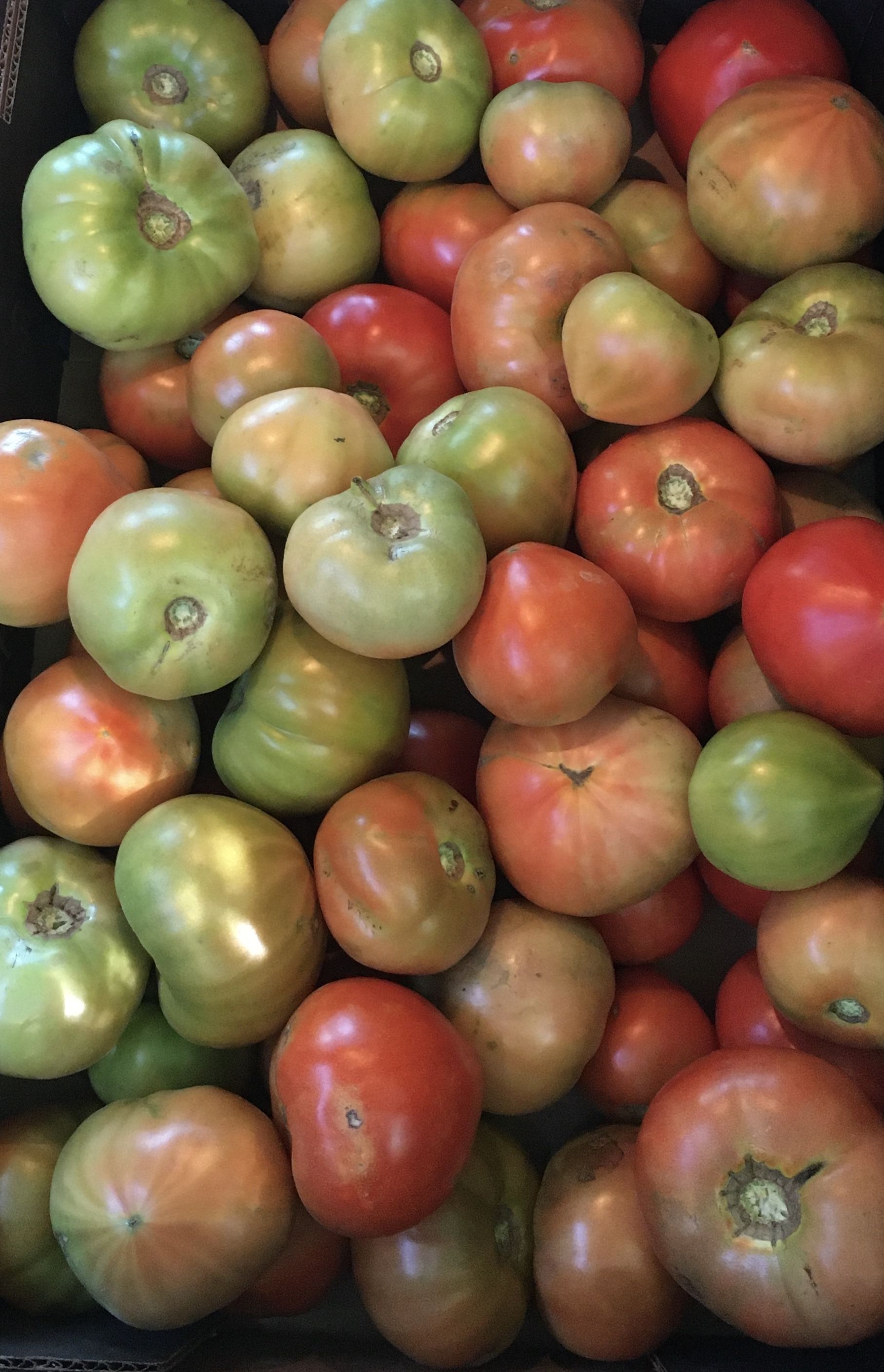 I ain’t the one for spreading rumours…  …but I’ll let you do that this time.