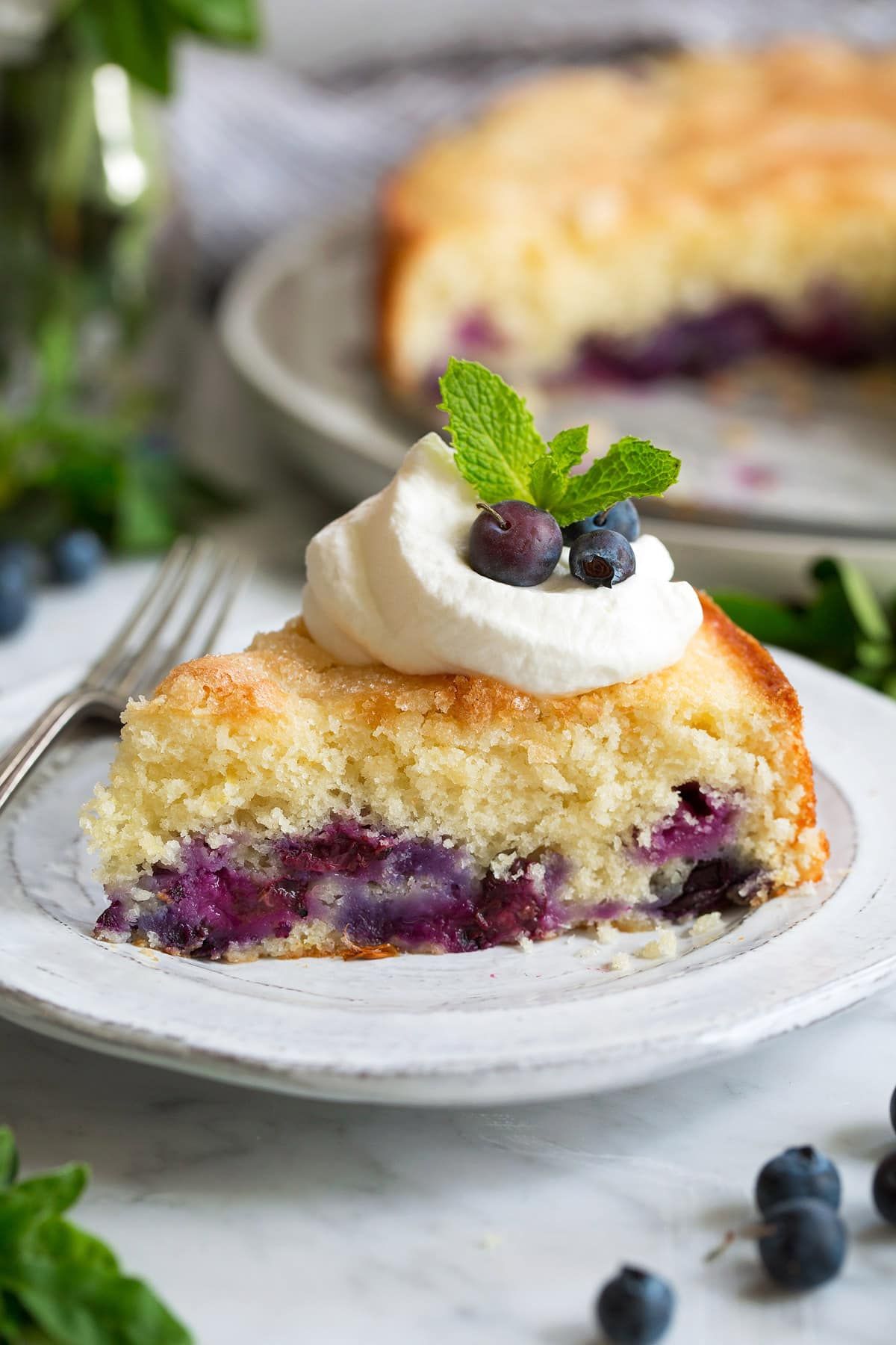 _*Blueberry Buttermilk Cake*_ /This Buttermilk Blueberry Cake is all of your cake dreams come true! It’s incredibly moist and deliciously flavorful thanks to the buttermilk that’s mixed into the batter, and it’s bursting with fresh blueberries in every bite. Talk about a delicious way to welcome summer!/    #BlueberryCake #CakeCupcakes #Desserts #Blueberries #Butter #Eggs #Flour #Lemons #VanillaExtract  Prep: 15 minutes. Cook: 40 minutes. Ready in: 1 hour 15 minutes.  INGREDIENTS: 1: 1 1/2 cups (213g) all-purpose flour (scoop and level to measure). 2: 2 tsp baking powder. 3: 1/2 tsp salt. 4: 1/2 cup (113g) unsalted butter, softened. 5: 1 cup (200g) granulated sugar, divided. 6: 1 tsp lemon zest. 7: 2 large eggs. 8: 1 tsp vanilla extract. 9: 3/4 cup (175ml) buttermilk. 10: 2 cups (278g) fresh blueberries.  INSTRUCTIONS:  1: Preheat oven to 350 degrees F. Butter a 9-inch springform pan, line bottom with a round of parchment paper and butter parchment. 2: In a medium mixing bowl whisk together flour, baking powder and salt, set aside. 3: Measure out 1 1/2 Tbsp (21g) of the sugar and set aside for sprinkling over cake. 4: In the bowl of an electric stand mixer fitted with the paddle attachment whip together remaining sugar with butter and lemon zest until pale and fluffy. 5: Mix in eggs and vanilla extract. 6: Add in 1/3 of the flour and mix just until combined then mix in 1/2 the buttermilk mixing just until combined, repeat process once more. 7: Add in last 1/3 of flour and mix just until combined. 8: Fold in blueberries. 9: Pour batter into prepared pan, spread into an even layer, then sprinkle sugar that was set aside evenly over top. 10: Bake in preheated oven until toothpick inserted into center comes out free of batter, about 40 - 45 minutes. 11: Run a knife around edge of cake to loosen, remove pan ring. 12: Let cool at least 20 minutes on a wire rack before slicing and serving (cool completely if serving with topping). Notes: For the Cream Cheese Whipped Cream: In a mixing bowl, whip 1/2 cup heavy cream until stiff peaks form. In a separate mixing bowl, whip 3 oz. cream cheese, 1/2 tsp vanilla and 1/3 cup powdered sugar until fluffy. Fold cream cheese mixture into whipped cream. Serve with cake if desired. Recipe source: Cooking Classy  