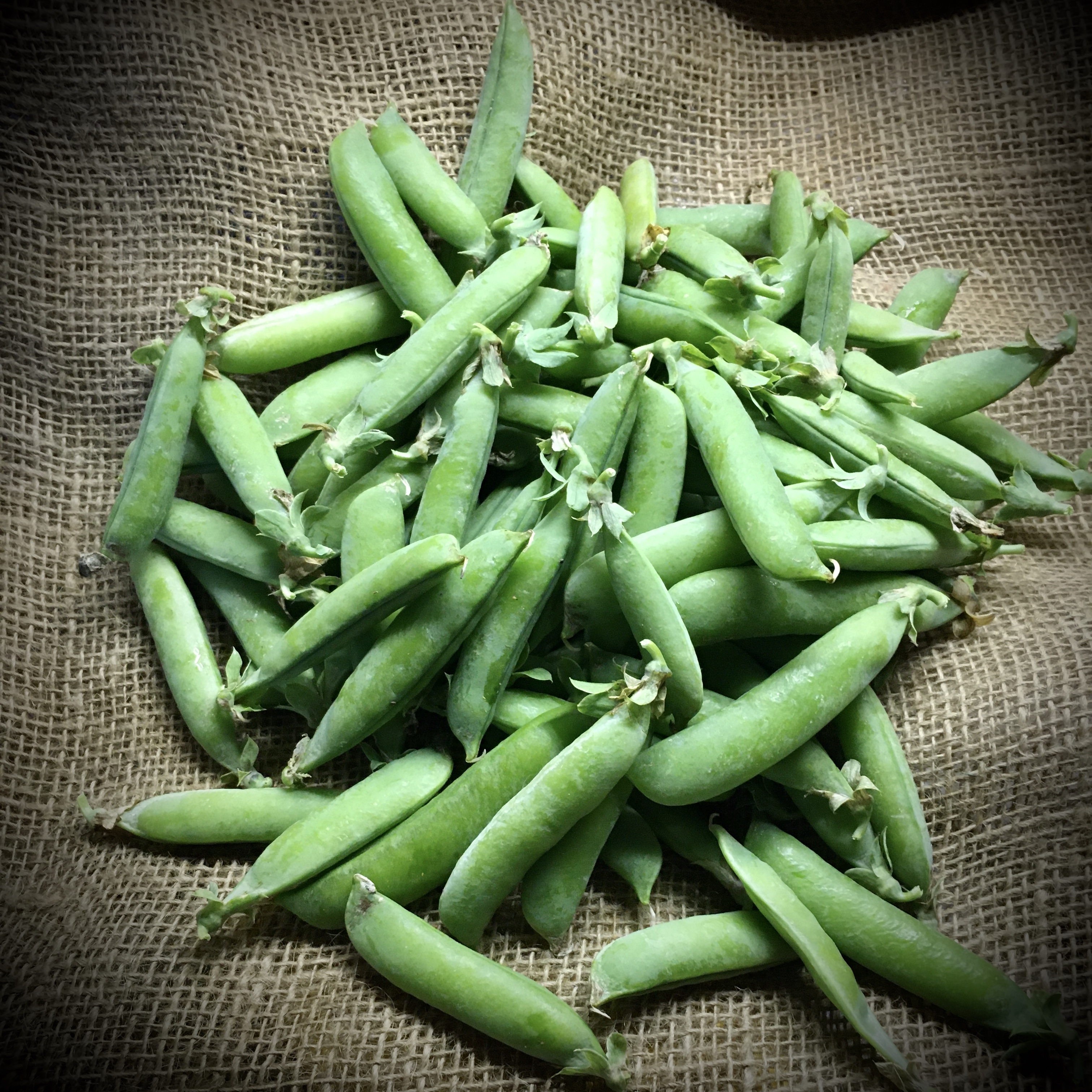 Pea time, ya queens