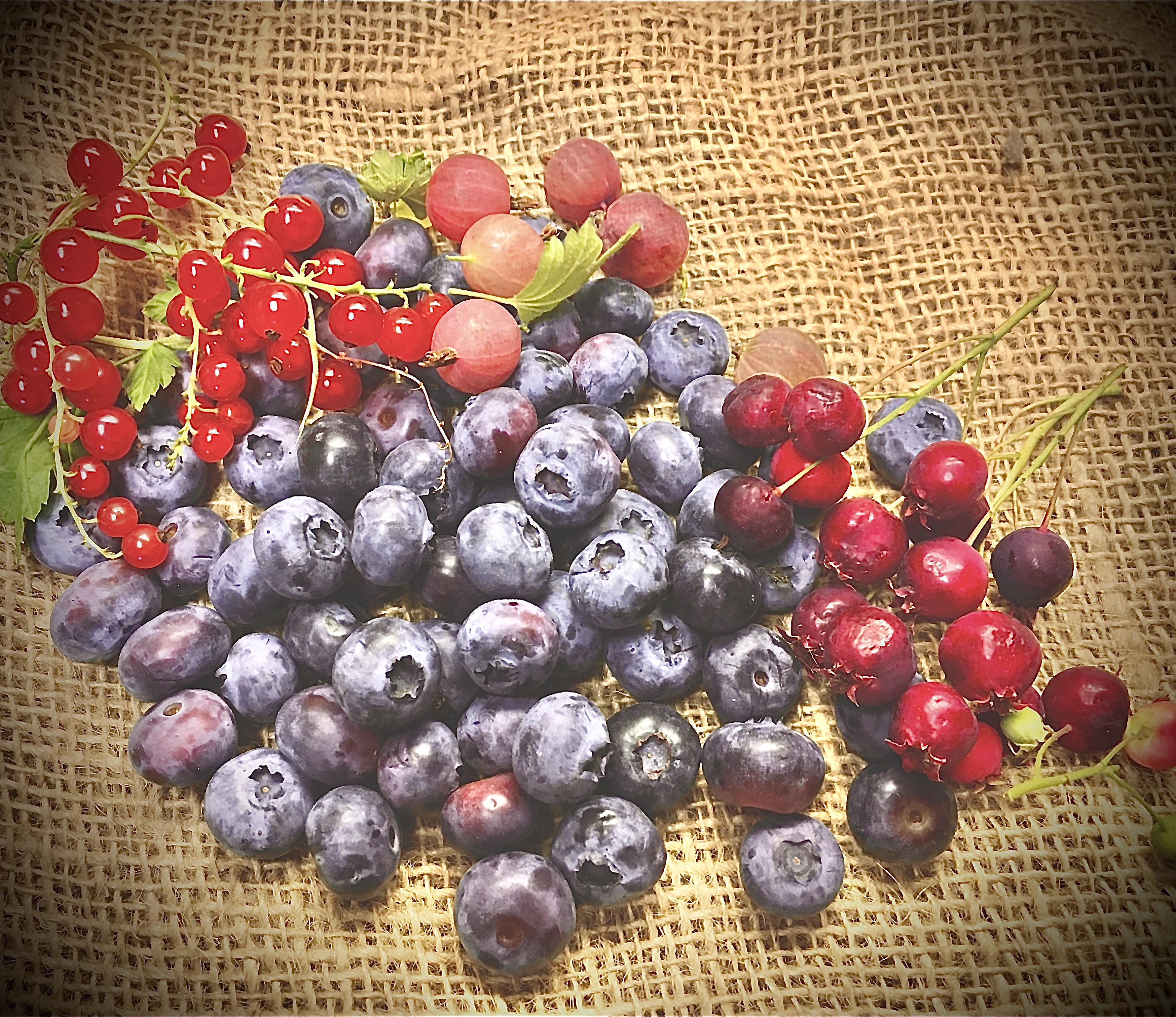 All kinds of tangy fun starts this week.   Blueberry  Redcurrant  Gooseberry  Saskatoon berries Raspberry  Authentically Fresh. Authentically local.