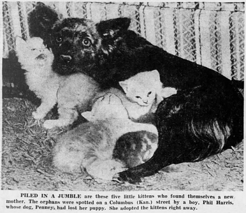 Detroit Free Press, Michigan, May 4, 1950