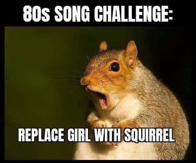Fat Bottom Squirrels.
https://x.com/coolradiocanada/status/1797938902352941376 @coolradiocanada