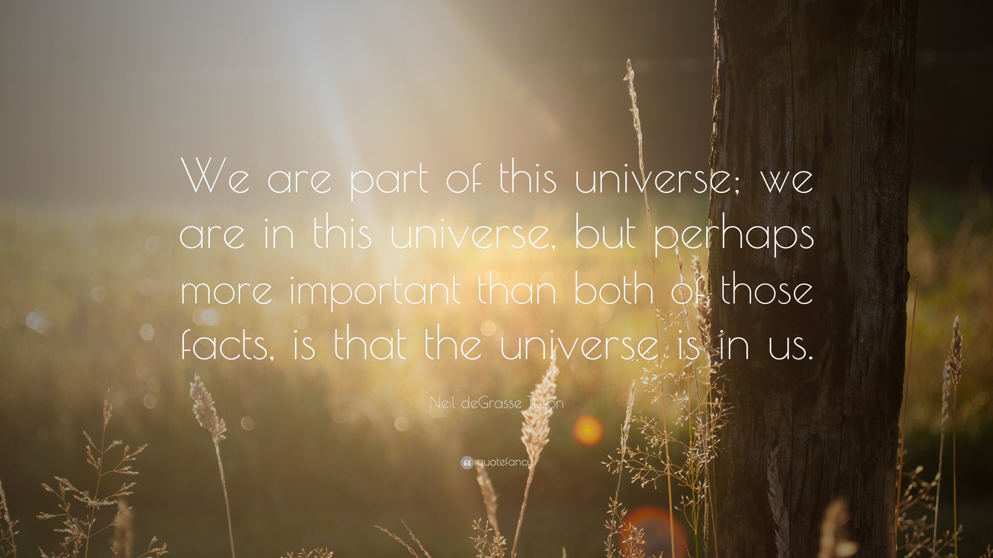"We are part of this universe; we are in this universe, but perhaps more important than both of those facts, is... 