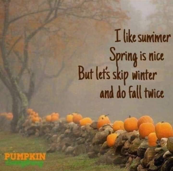 🎃🌻🎃