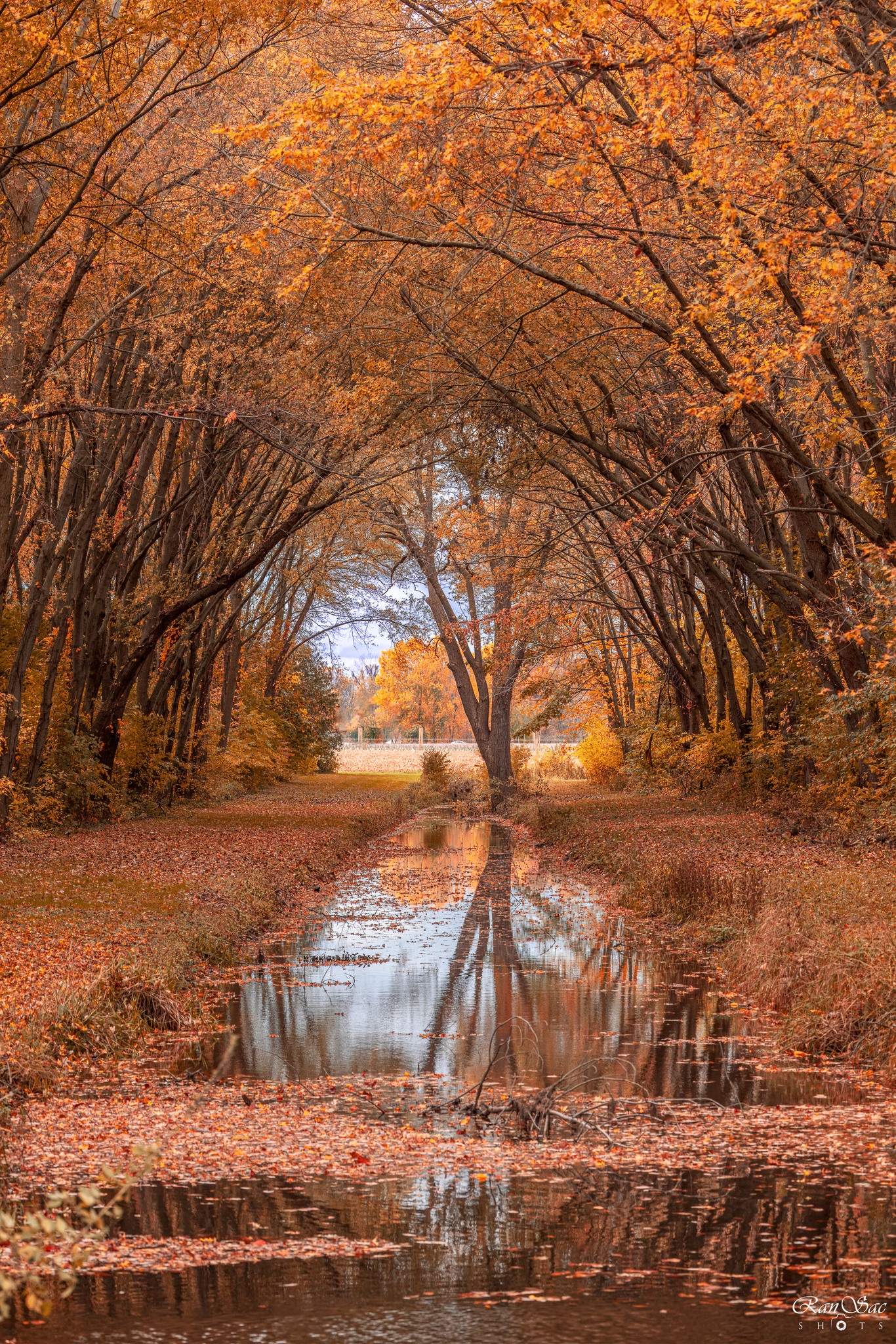 October 2023 Essex County  https://www.facebook.com/photo/?fbid=856131156045282&set=gwww.10160144861029067&idorvanity=5990084066