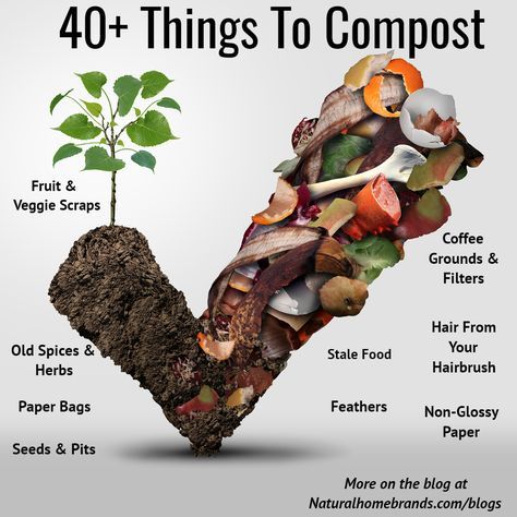 40+ Things you can Compos😘