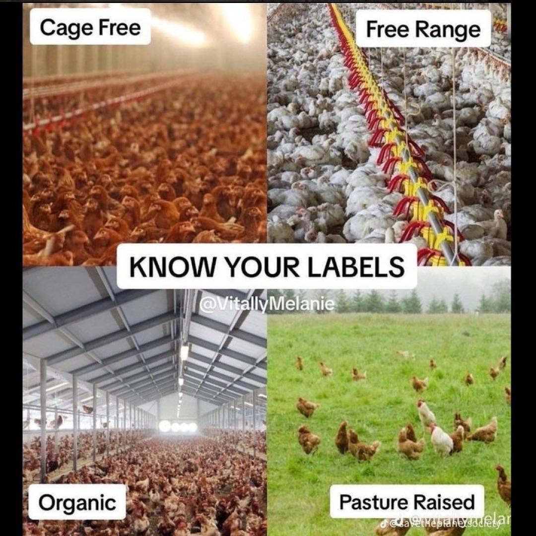 This is not true or accurate, yet i'm sure to be asked a million new questions.  https://www.facebook.com/photo?fbid=967392135192529&set=a.484365816828499