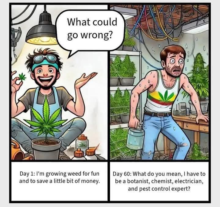 🪴✌️