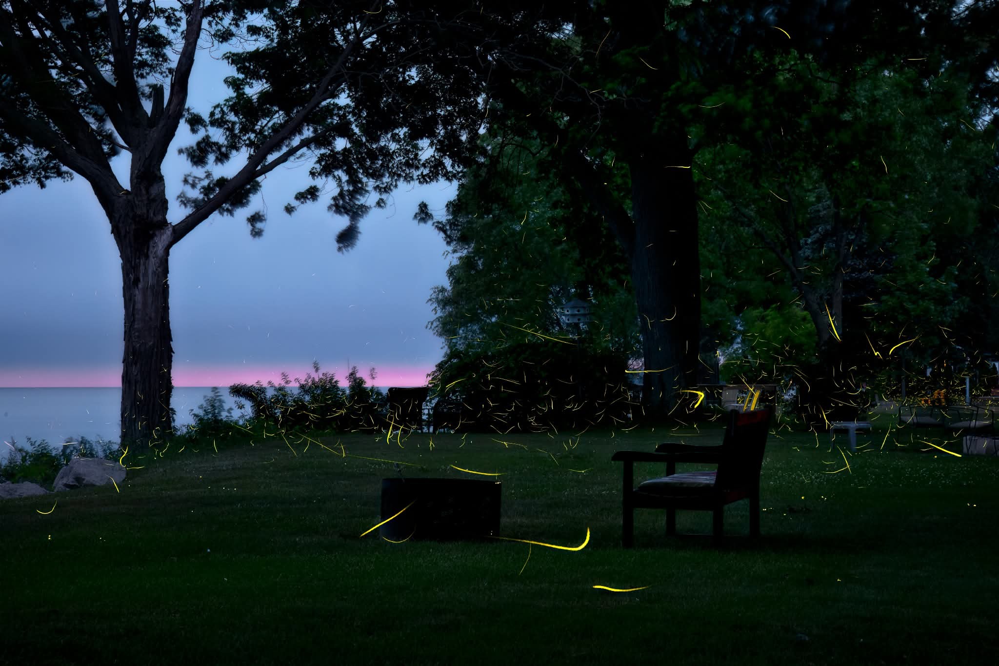 🔥🪰 The Magic of Summer! 🔥🪰  Few things evoke the beauty of the season the way fireflies do. Though only around for a few weeks, they signal that summer is well and truly here.  This image was captured on the shores of Lake Erie near Oxley, in deep Southwestern Ontario. Do you get to see these little beauties where you are? Please include your location and a picture or video if possible.  -Patricia  Image courtesy of James via Ontario Storm Reports .  https://www.facebook.com/share/p/1DgHP29BSM/  July 8, 2025