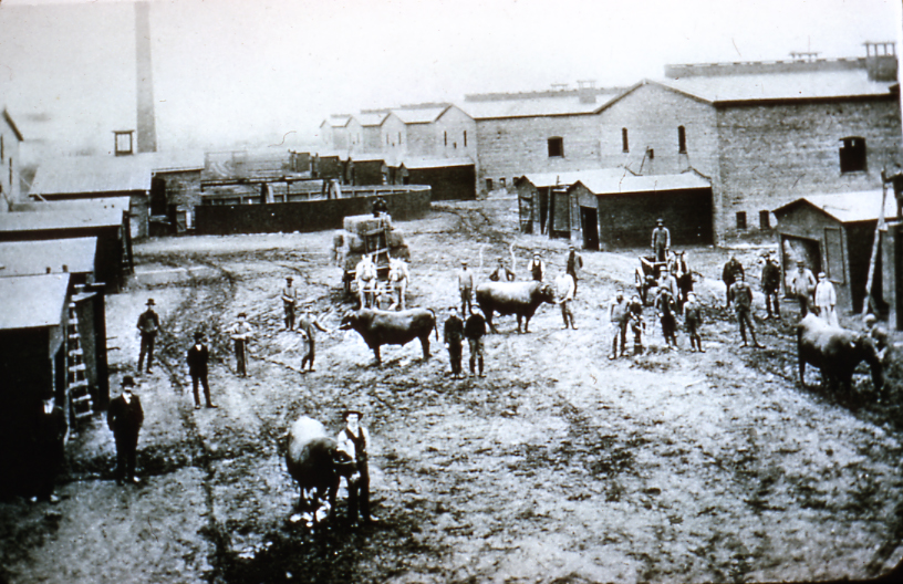 Hiram Walker Cattle Barns at Hiram Walker farm located at Walker and Tecumseh, c. 1890, P422  https://www.facebook.com/MuseumWindsor/photos/a.709190382582000/2188260094675014/