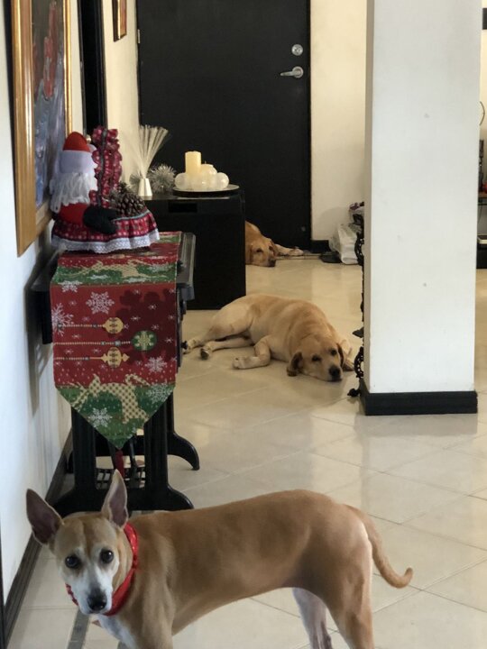 Serotonin machine https://t.co/8ubRSjX1bu