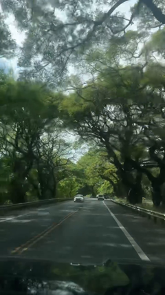 more travel<br> @skyeringenbach