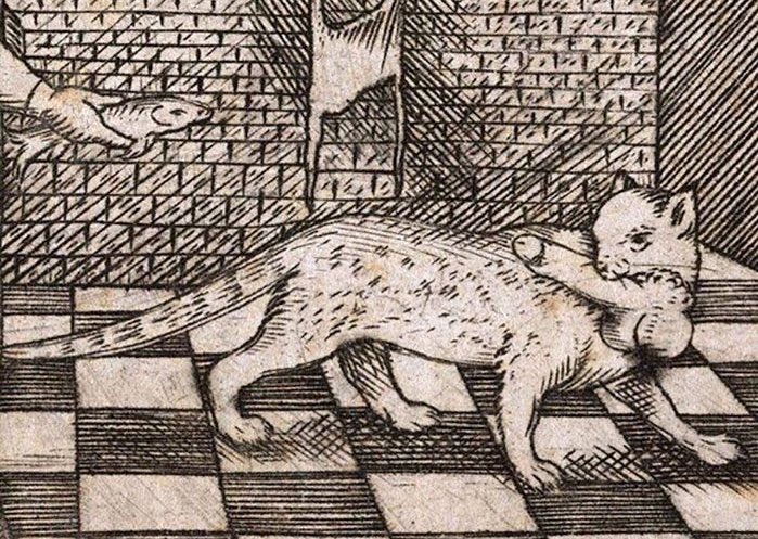 I had that dream again you guys&hellip; https://t.co/PtaK9GEGjN