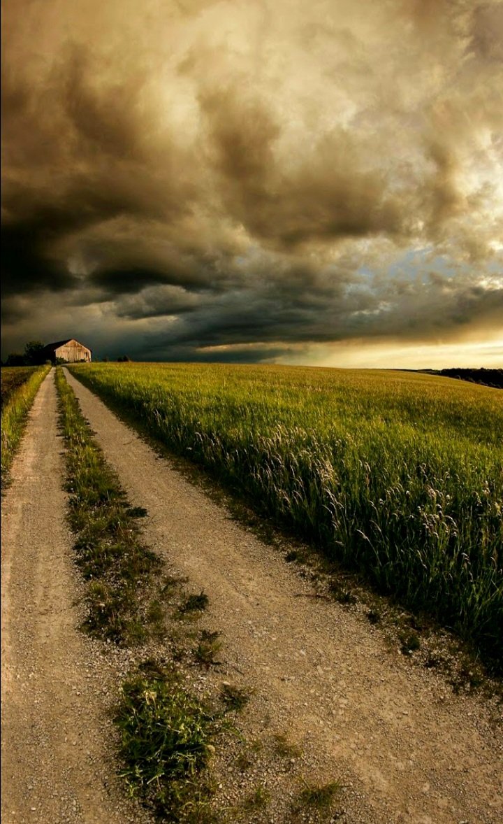 🤎🌾 Good evening  🌾🌾🌾 https://t.co/hXOuuaLS4K

@DolceRagazza26