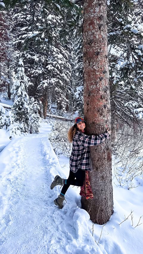 adventures<br> @taymunholland