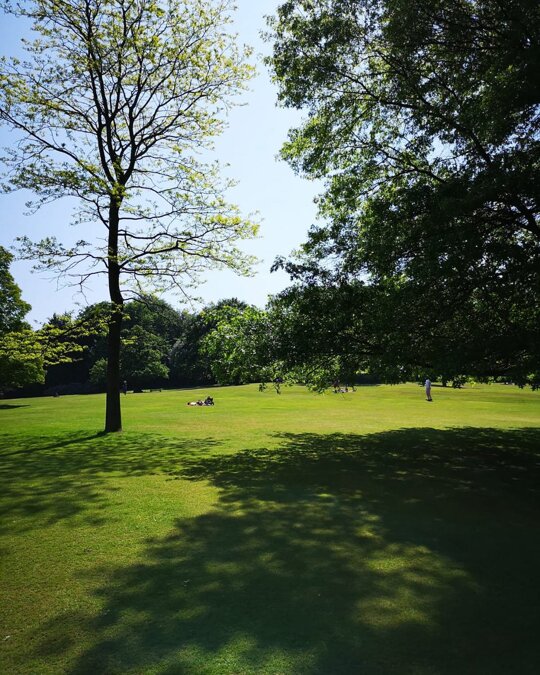 Taking it all in. #HuaweiMate10Pro https://t.co/3tLC4HYRR2