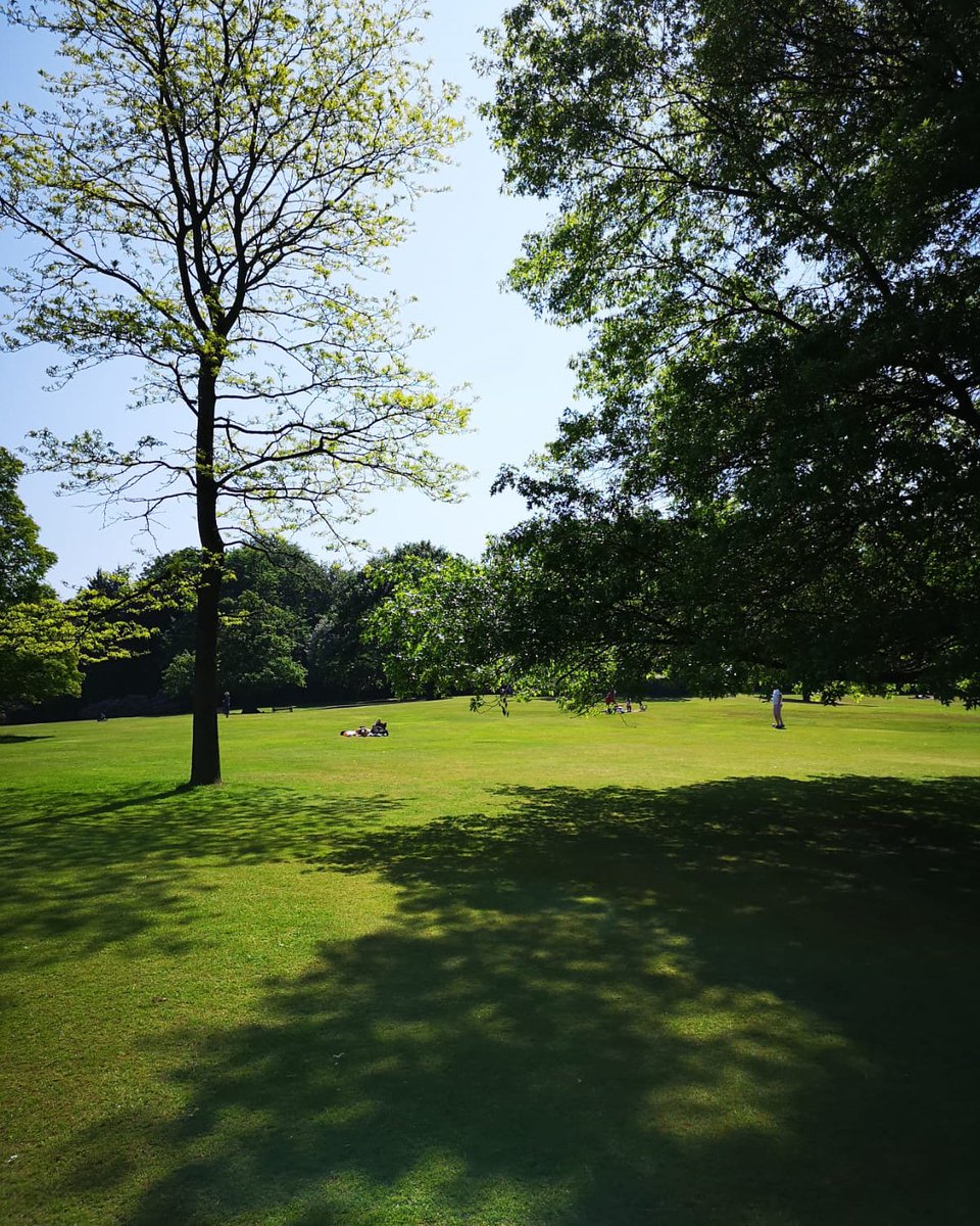 Taking it all in. #HuaweiMate10Pro https://t.co/3tLC4HYRR2