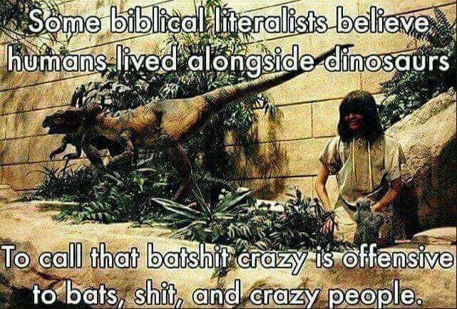 Bat, Shit, Crazy though