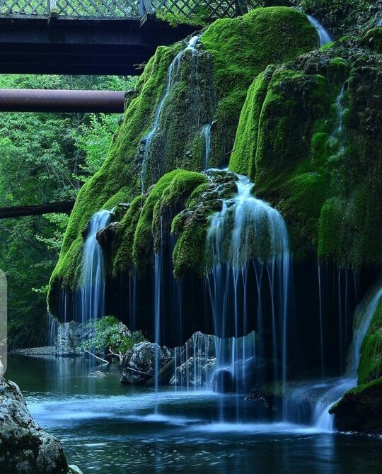 Smokey Mountain 💚🌈🧡 https://t.co/cRiS4MfpZp

@fiz_iiz