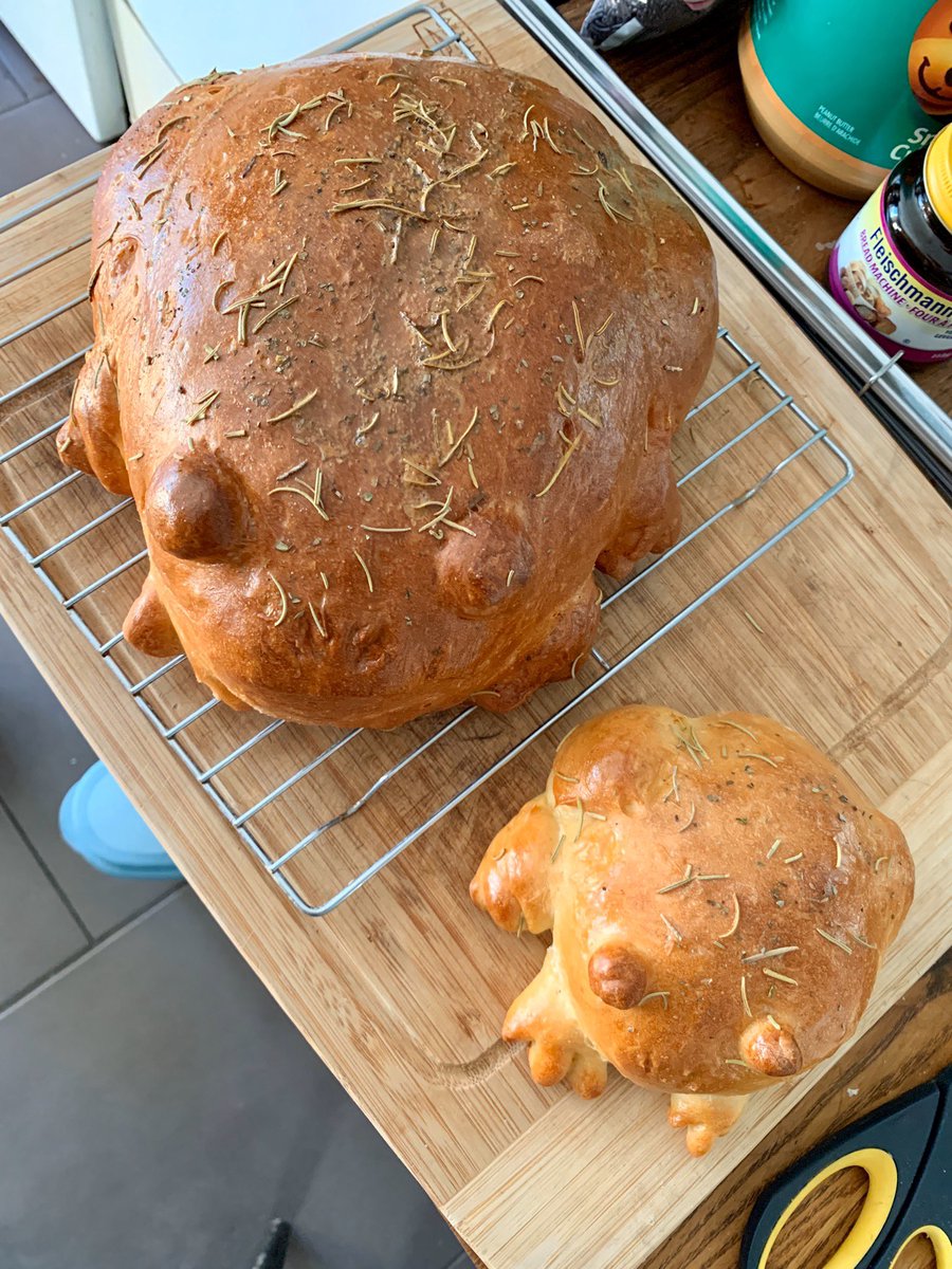 me: desperately wants to make frog bread

also me: will not be able to stop myself from immediately forming an emotional bond with it and then crying when I have to slice it https://t.co/pg8GHF57sc