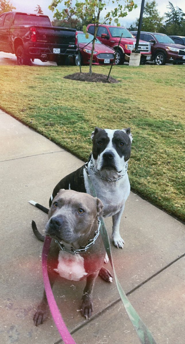 Happy thanksgiving from my goons https://t.co/PK2xFvzUif