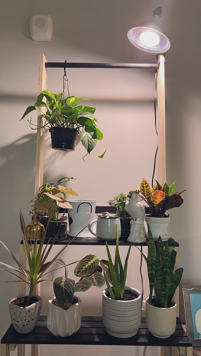 My fianc&eacute; spent this rainy Sunday building me a plant stand for my birthday &amp; I think he did a pretty amazing job! https://t.co/EvkwwC5FQj

@SloaneHaines