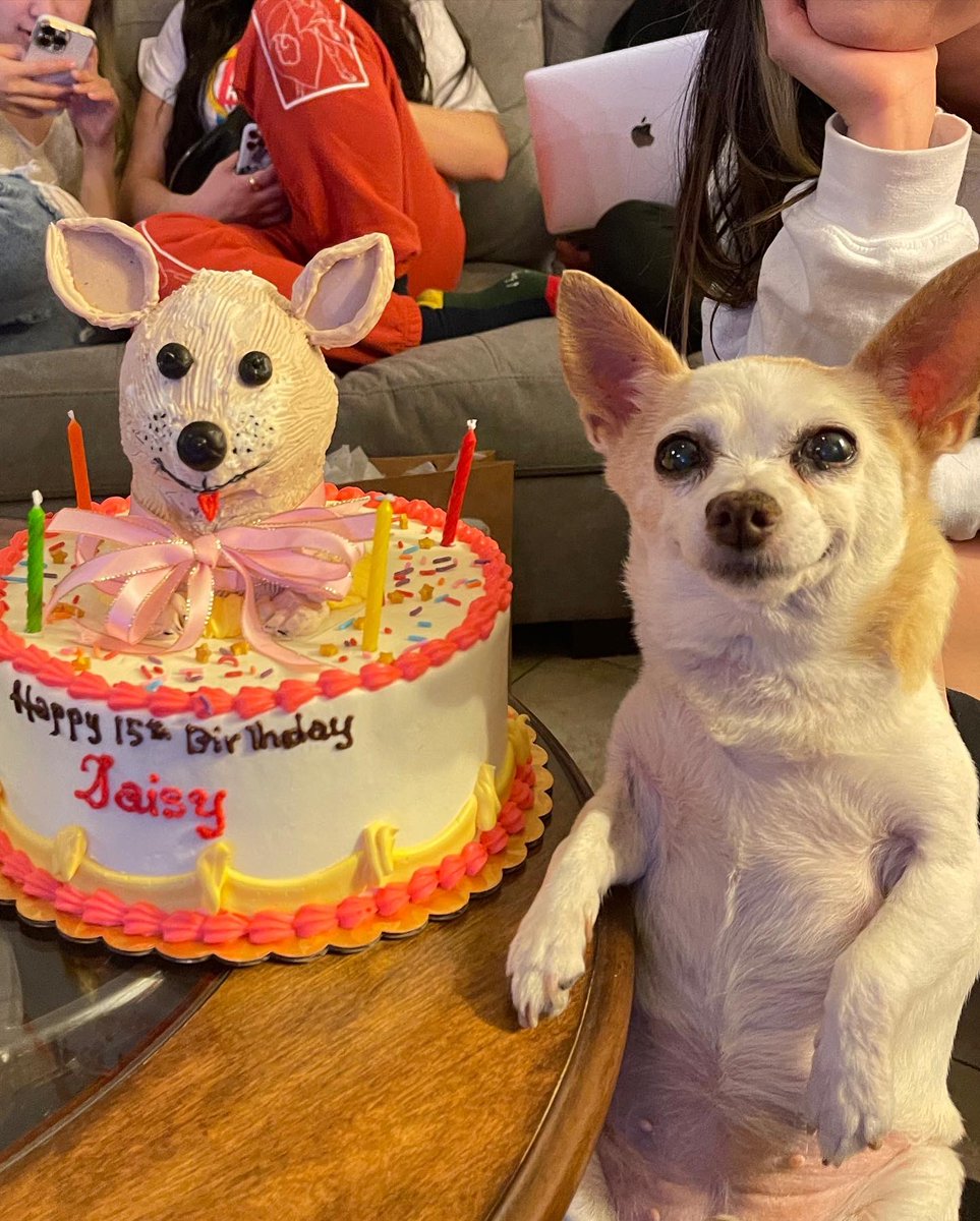today is Daisy's 15th birthday :) https://t.co/GeViYiAg6k

@aznbbgoth