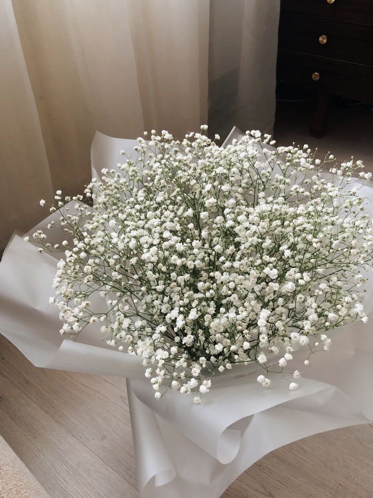 baby's breath flowers are so cute https://t.co/r66ESjEPAB
