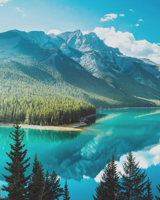 shades of blue in nature. https://t.co/oQcfuUS9cj