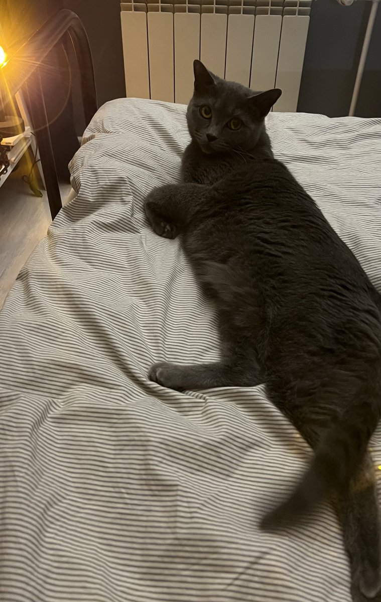 мне
грустно
больно
и одиноко,
но потом я вспоминаю о существовании кошки армы, которая совсем скоро вернется со своих дачных каникул, и мой мир становится лучше https://t.co/4yGcoAxJGp

@ritafloresss