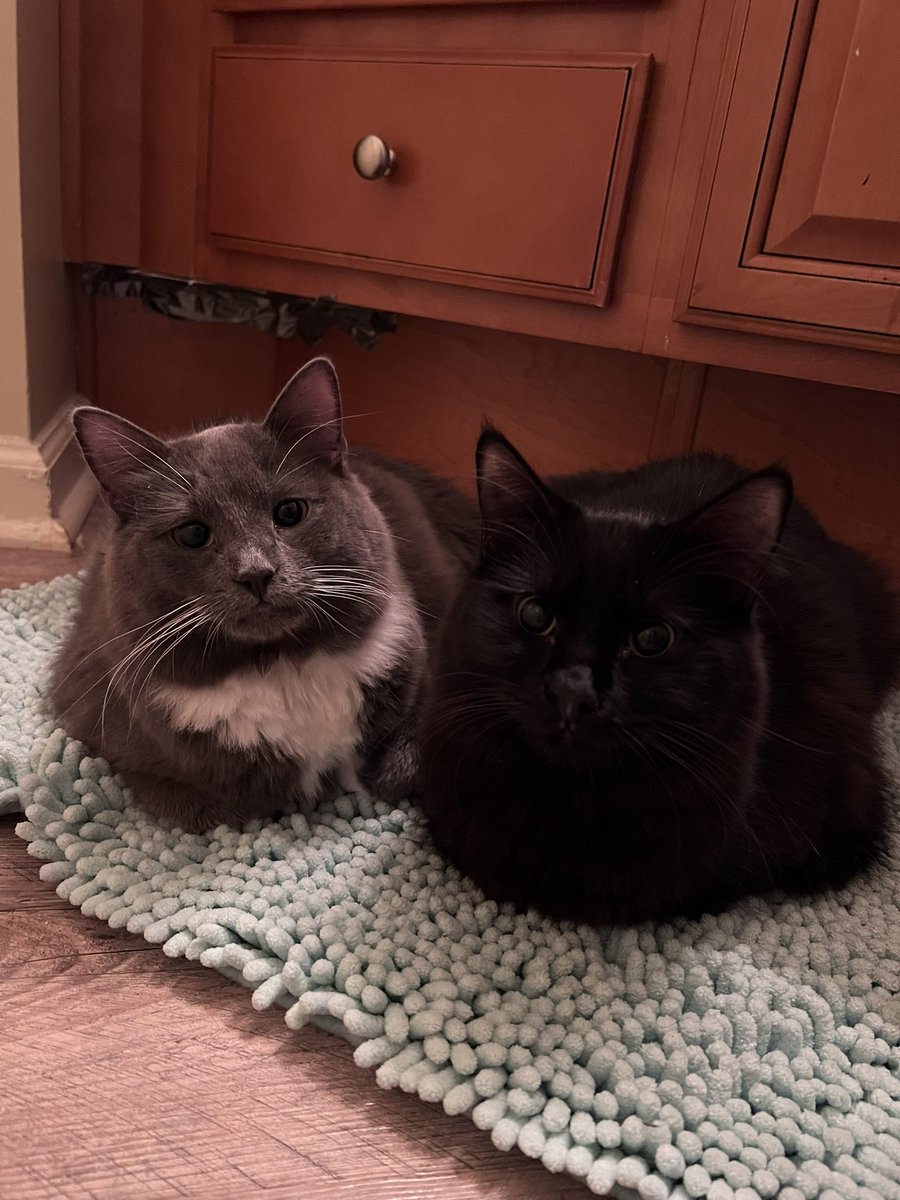 besties💗 https://t.co/Rh3kMsif3D

@jjasshole