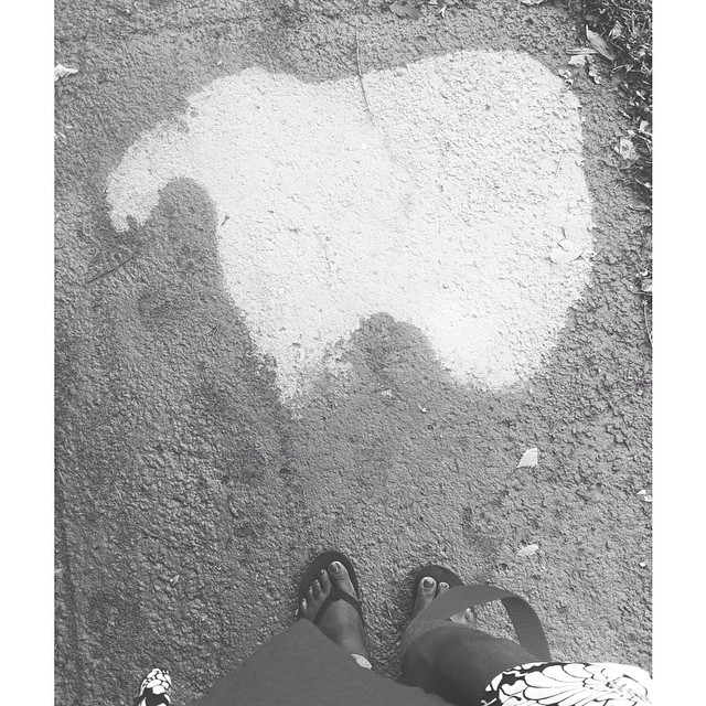 Different 🐘  @jaydaiye