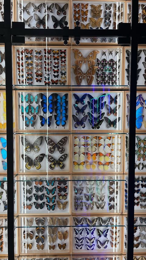 TRAVEL✈️  @elle.john