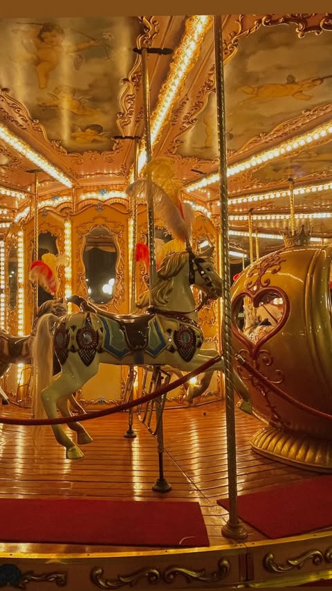 TRAVEL✈️  @elle.john