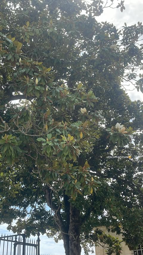 TRAVEL✈️  @elle.john