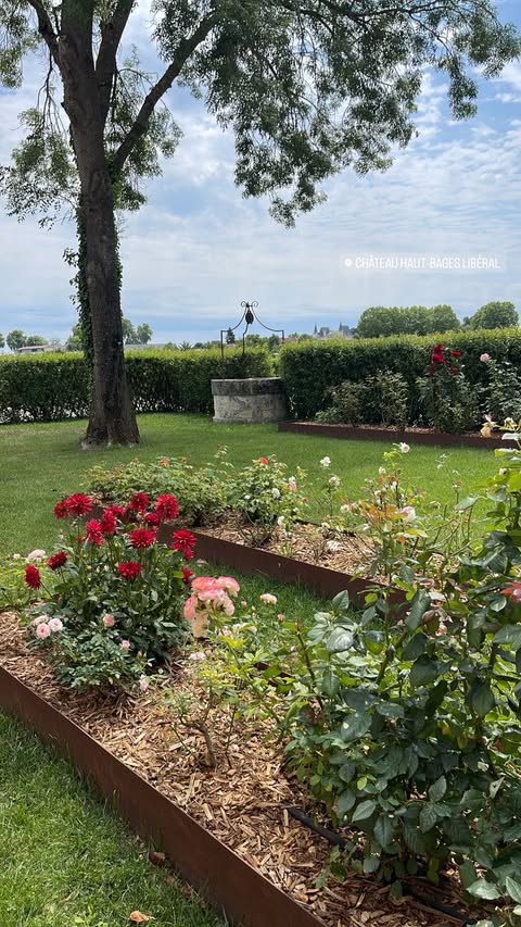 TRAVEL✈️  @elle.john