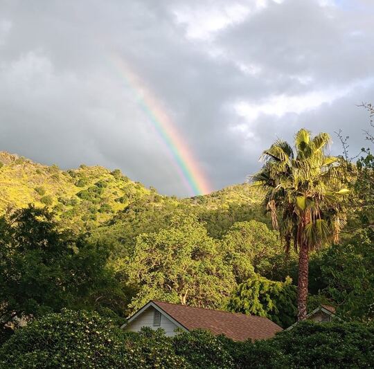 **Florinda M Taylor:** Florinda M Taylor updated her profile picture.  https://www.facebook.com/photo/?fbid=10161186740743544&set=a.452458693543