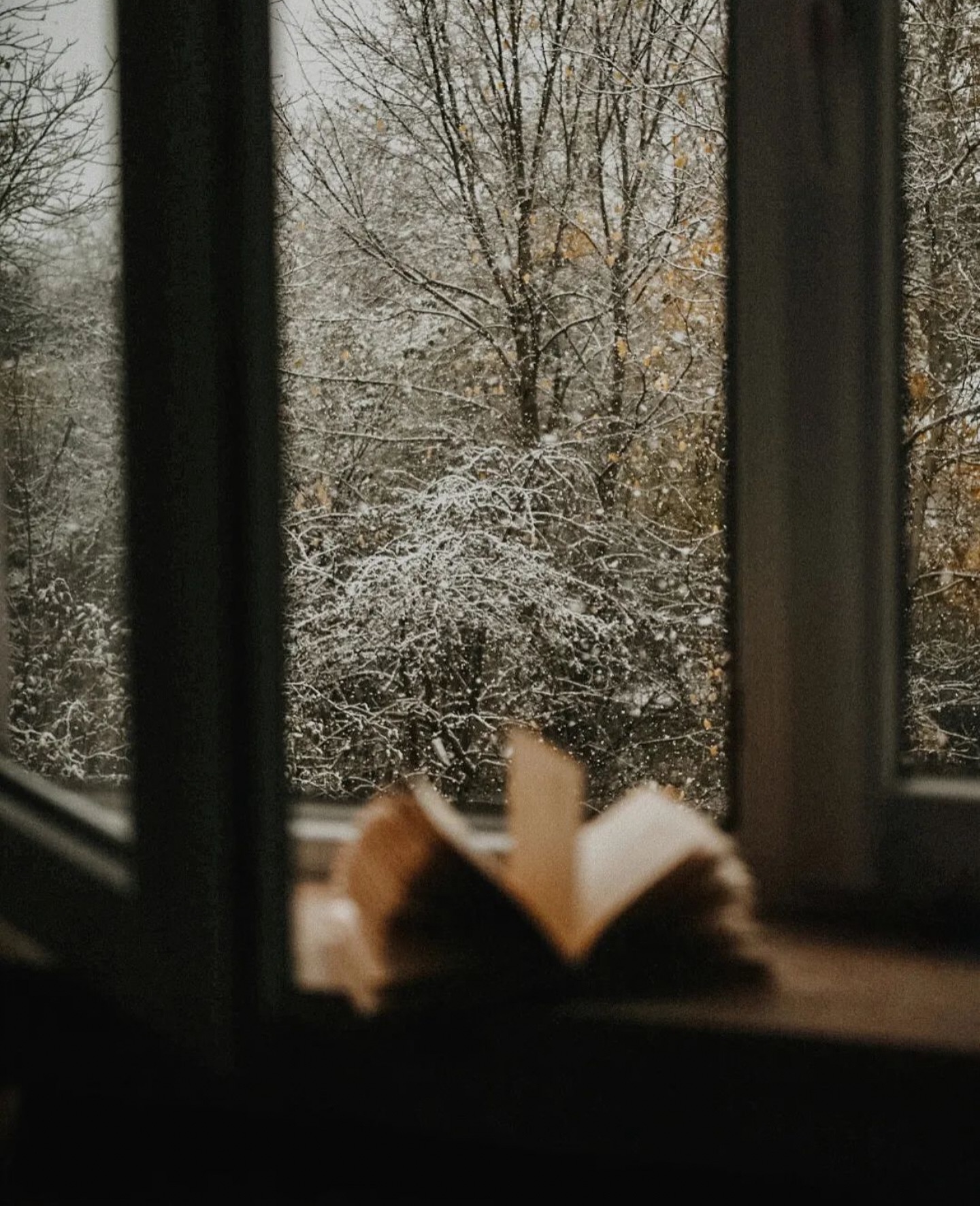 Winter is not a season; it’s a celebration  . ~ Anamika Mishra ❄️