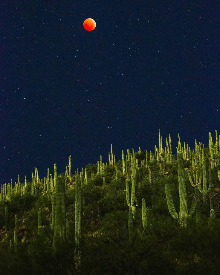 !Tuscan, Arizona!  #BloodMoon 