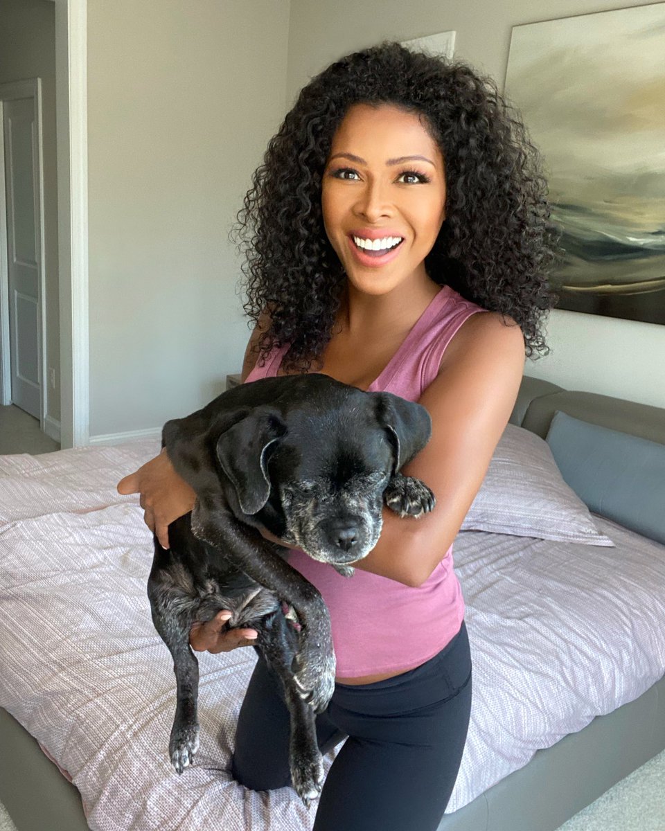 My dog does this amazing thing where he just exists and makes my whole life better.🖤 #seniordoglove #myboy https://t.co/T8PW7R0MsD

@StaceyRusch