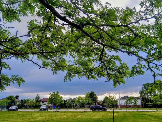 Photo Of The Day &ndash; Tuesday May 31st, 2022 https://windsorite.ca/2022/05/photo-of-the-day-tuesday-may-31st-2022/?utm_campaign=wp2t&utm_medium=twitter&utm_source=twitter #YQG https://t.co/hN8Ma6gRN4

@windsoriteDOTca