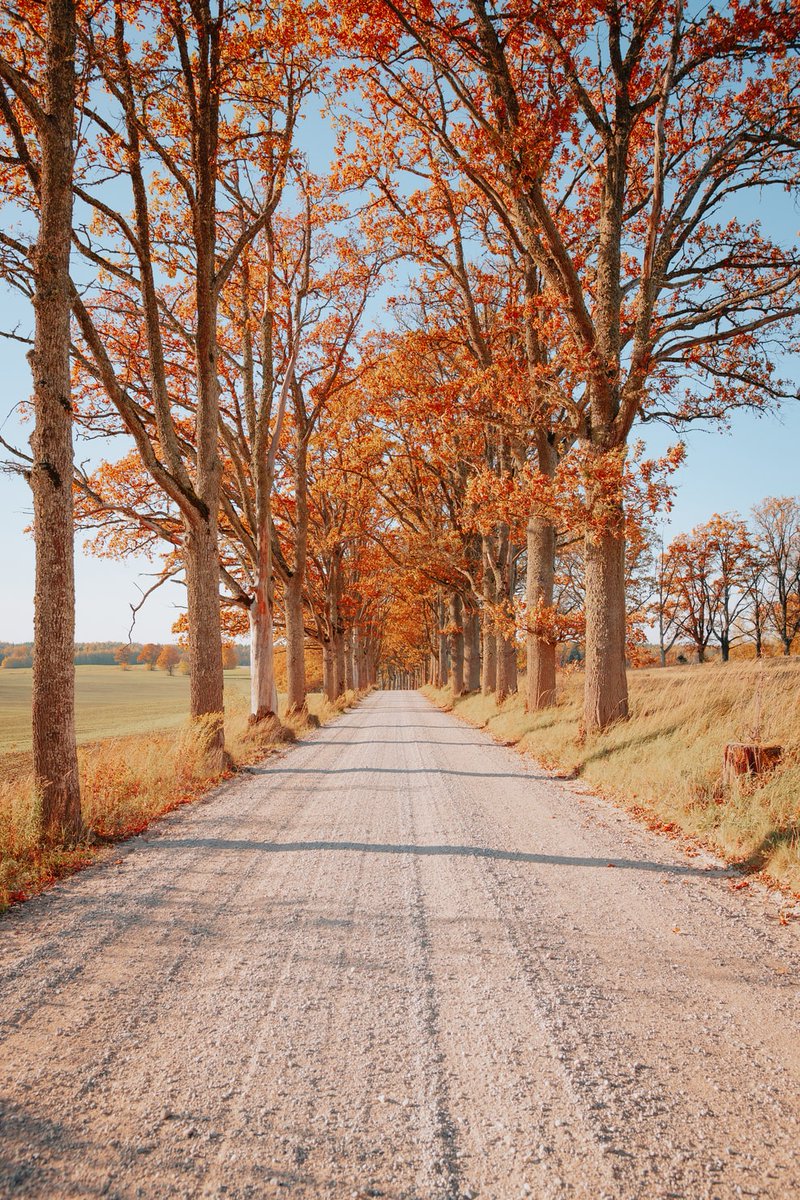 Latvia https://t.co/tRdlcsq7hP

@helena_mar19