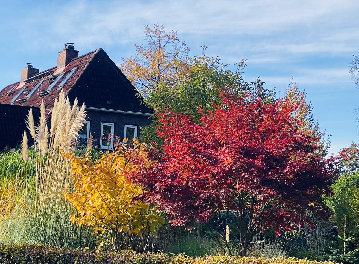 Fall… As it always reminds me that there is a beauty in falling apart…