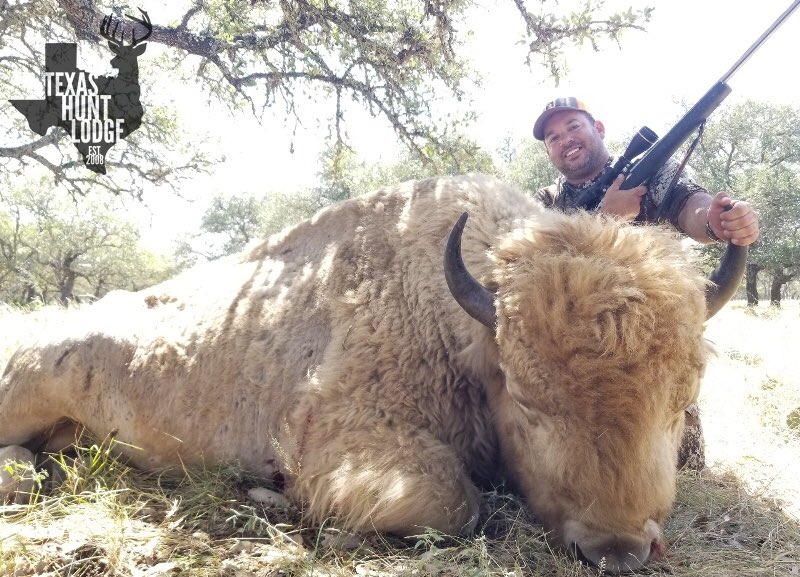 How much you wanna bet — this asshole's a Republican? https://t.co/iQLAKUXqOG

@LakotaMan1