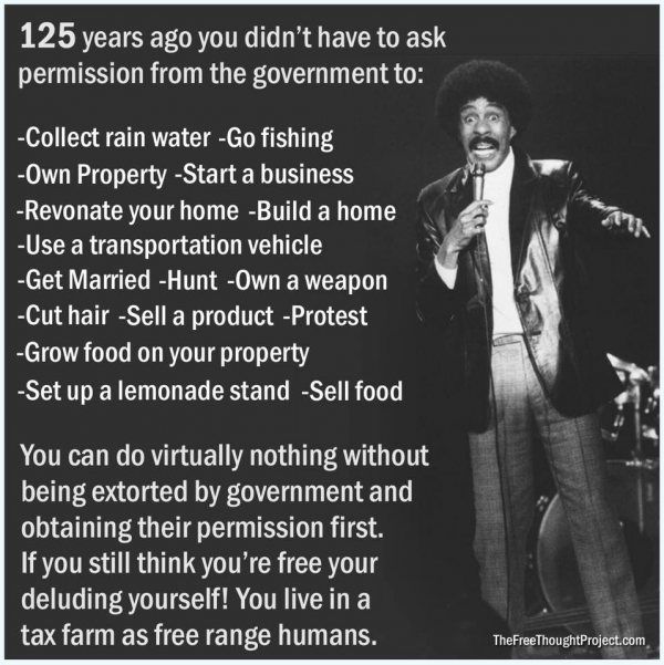 Results of the people doing dumb shit like voting.